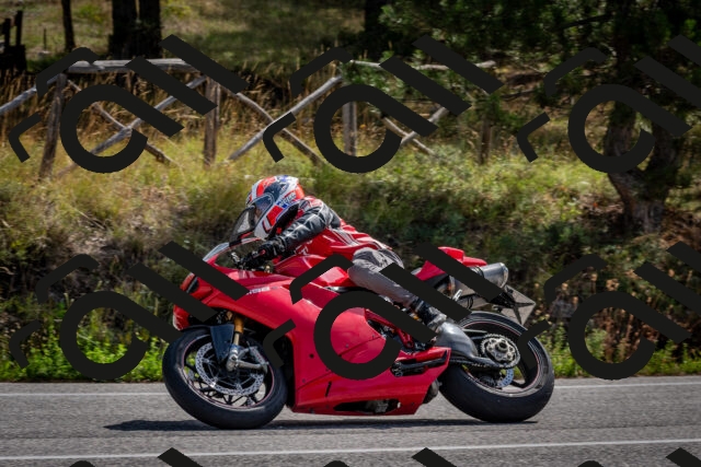 202509071110-DSC_2651_c2