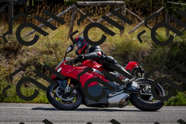 202509071111-DSC_2660_c2