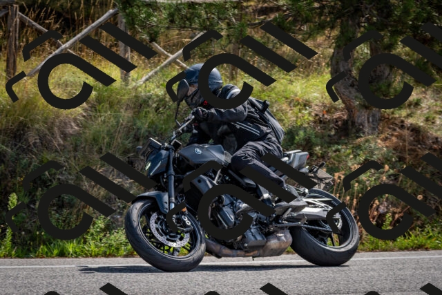 202509071111-DSC_2661_c2