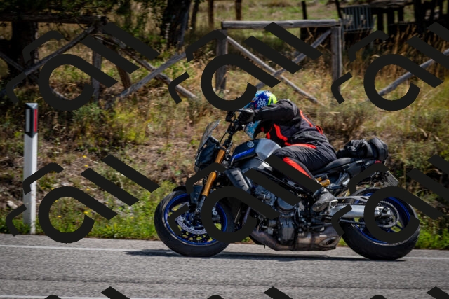 202509071111-DSC_2666_c2