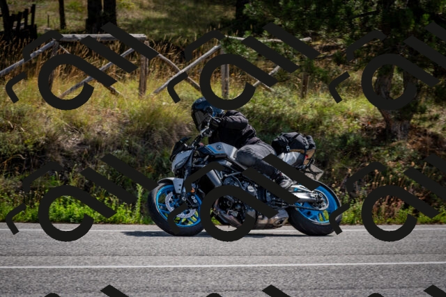 202509071112-DSC_2670_c2