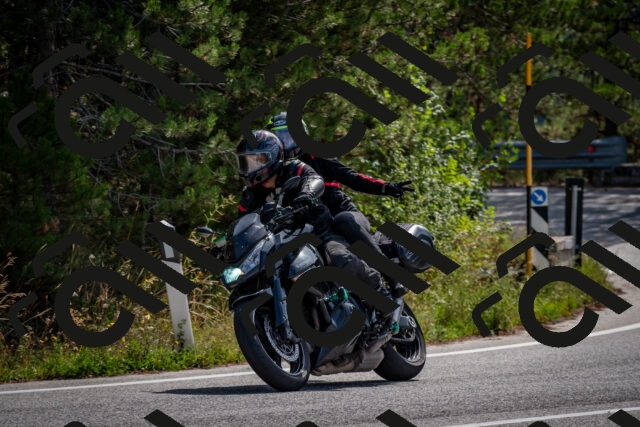 202509071113-DSC_2679_c2