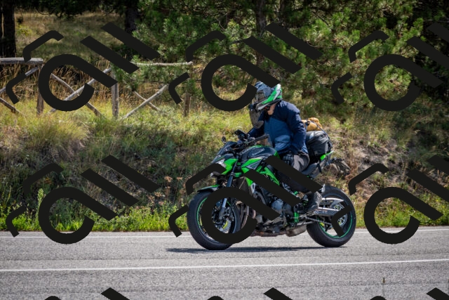 202509071113-DSC_2685_c2