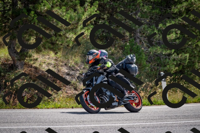 202509071113-DSC_2688_c2