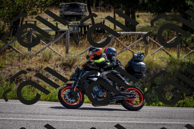 202509071113-DSC_2689_c2