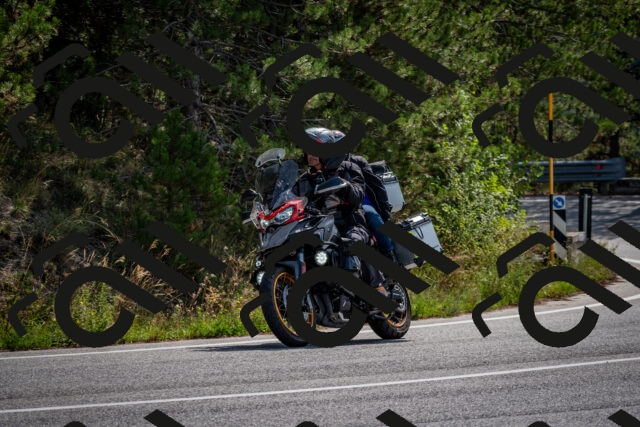 202509071113-DSC_2690_c2