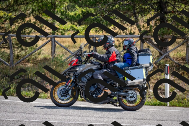 202509071113-DSC_2692_c2