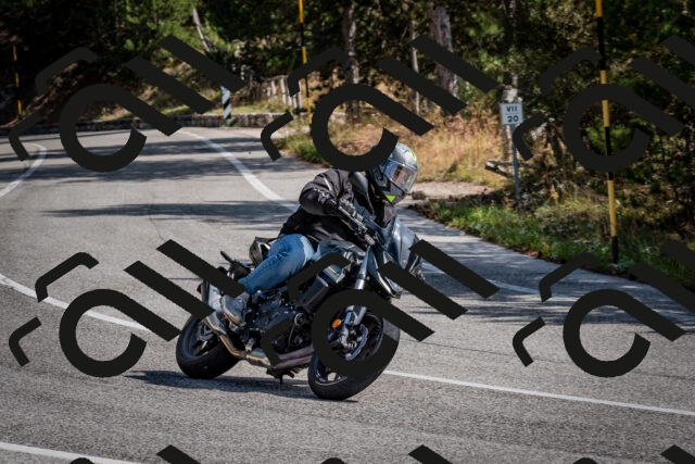 202509071116-DSC_2707_c2