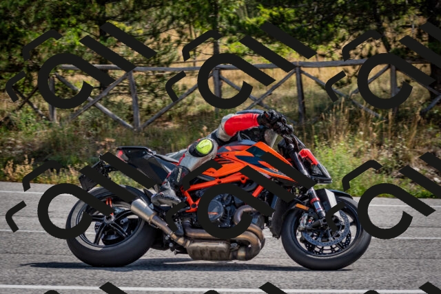 202509071117-DSC_2718_c2