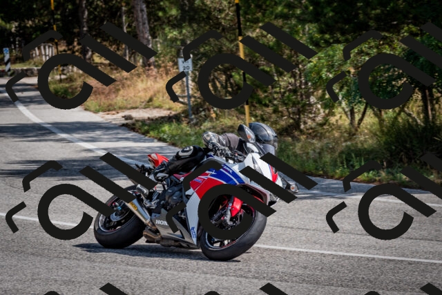 202509071117-DSC_2719_c2