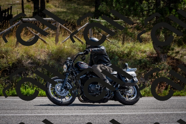 202509071117-DSC_2725_c2