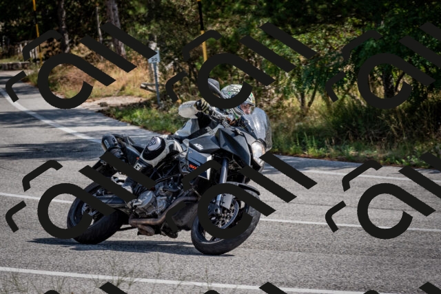 202509071117-DSC_2731_c2