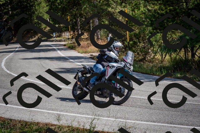 202509071119-DSC_2736_c2