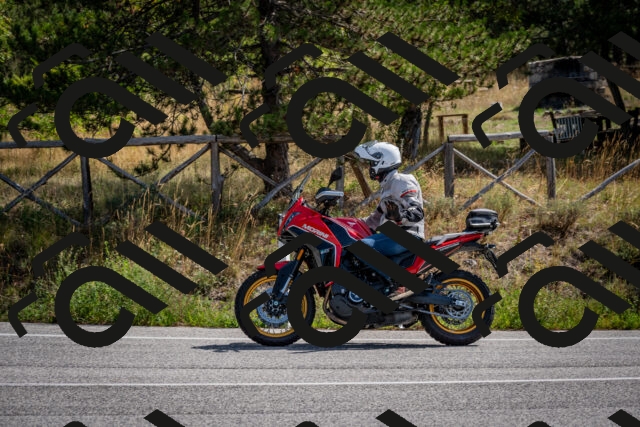 202509071119-DSC_2740_c2