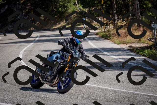 202509071119-DSC_2743_c2