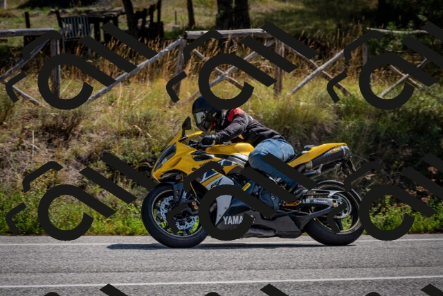 202509071119-DSC_2750_c2