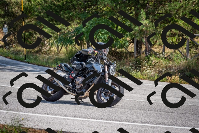 202509071119-DSC_2766_c2