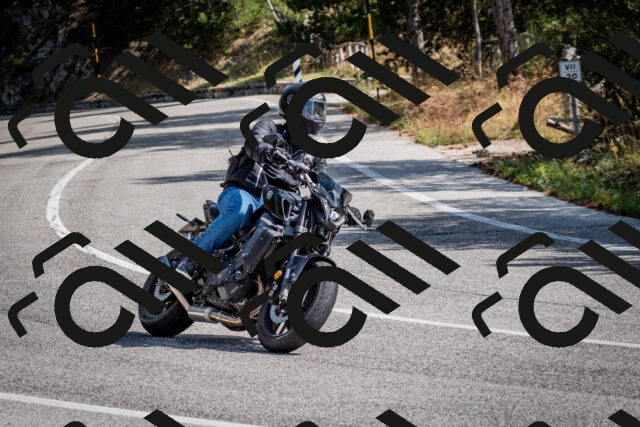 202509071120-DSC_2767_c2