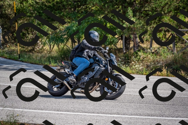 202509071120-DSC_2768_c2