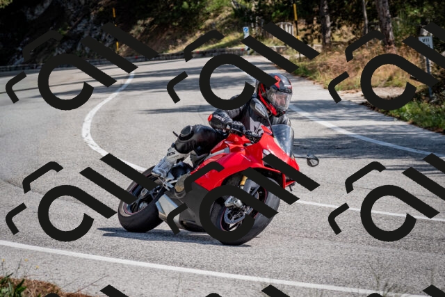 202509071120-DSC_2769_c2