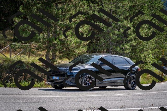 202509071120-DSC_2774_c2