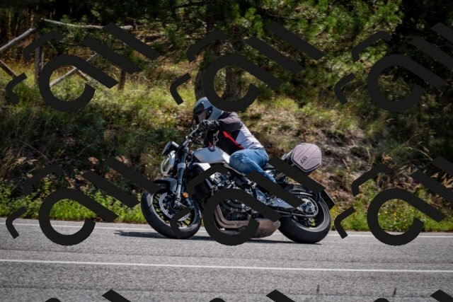 202509071121-DSC_2777_c2