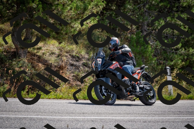 202509071121-DSC_2778_c2