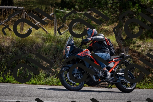 202509071121-DSC_2779_c2