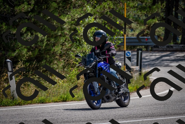 202509071122-DSC_2784_c2