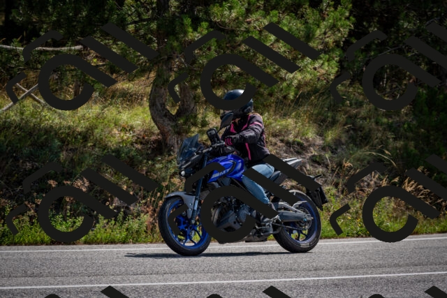 202509071122-DSC_2785_c2