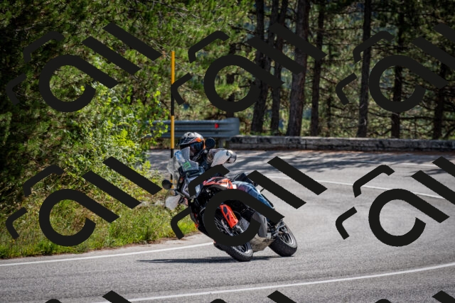 202509071124-DSC_2802_c2