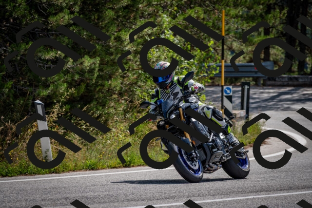 202509071124-DSC_2805_c2