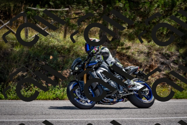 202509071124-DSC_2806_c2