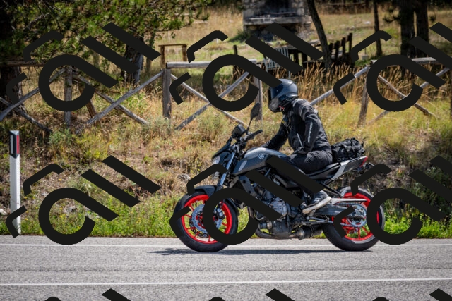 202509071125-DSC_2811_c2