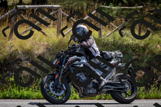 202509071125-DSC_2812_c2