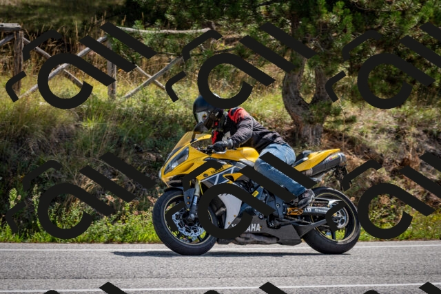 202509071125-DSC_2816_c2