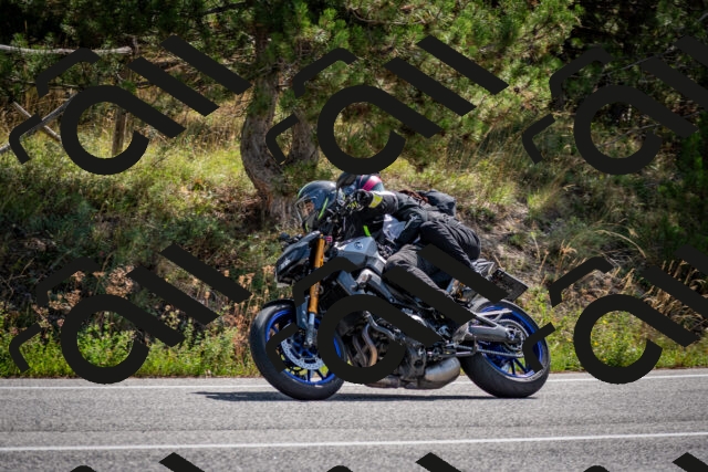 202509071125-DSC_2817_c2