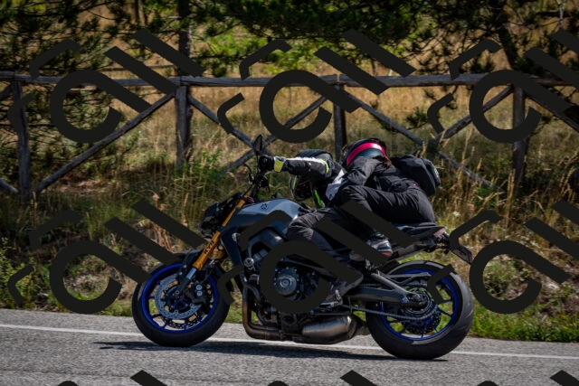 202509071125-DSC_2819_c2