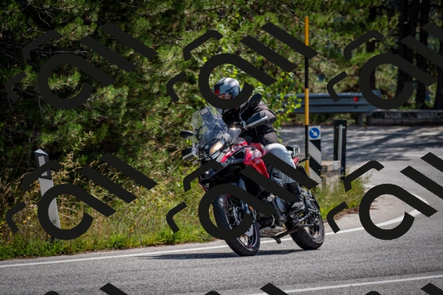 202509071127-DSC_2824_c2