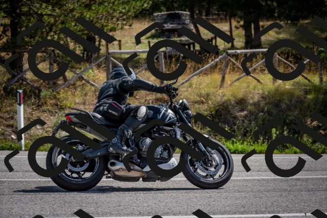 202509071128-DSC_2836_c2