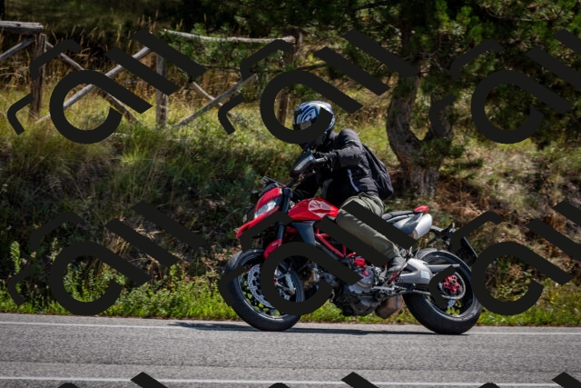 202509071128-DSC_2842_c2