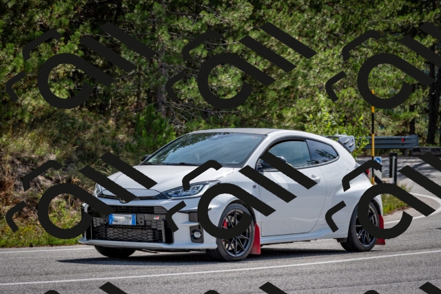 202509071129-DSC_2864_c2