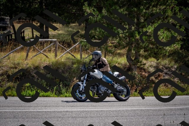 202509071129-DSC_2866_c2