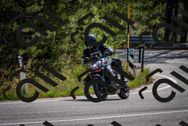 202509071130-DSC_2868_c2