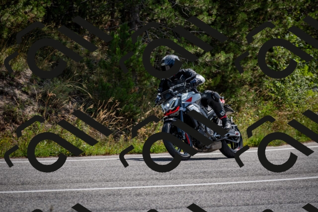 202509071130-DSC_2869_c2