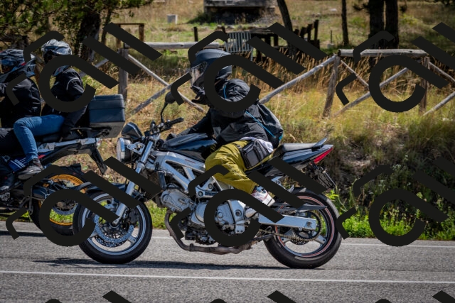 202509071130-DSC_2876_c2