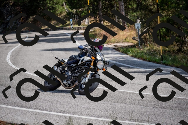 202509071132-DSC_2882_c2