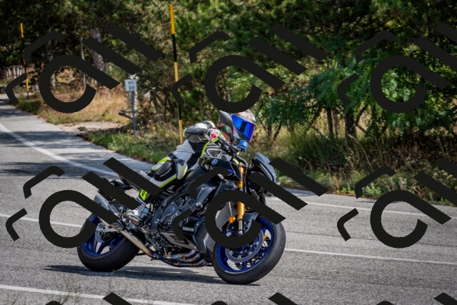 202509071132-DSC_2885_c2