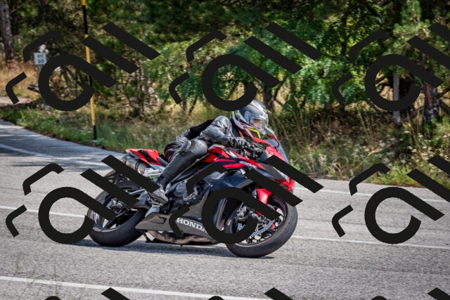 202509071132-DSC_2886_c2