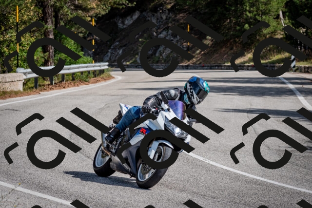 202509071132-DSC_2888_c2